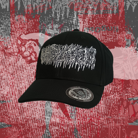 Vacuous embroidered logo dad cap