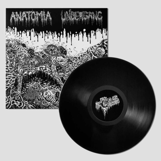 Anatomia/Undergang - split - 12"