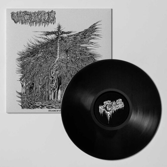 Vacuous - Dreams Of Dysphoria - 12"