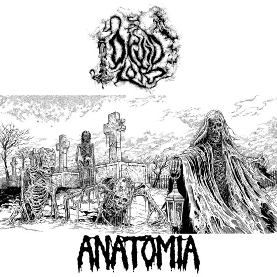 Anatomia/Druid Lord – split – 7″