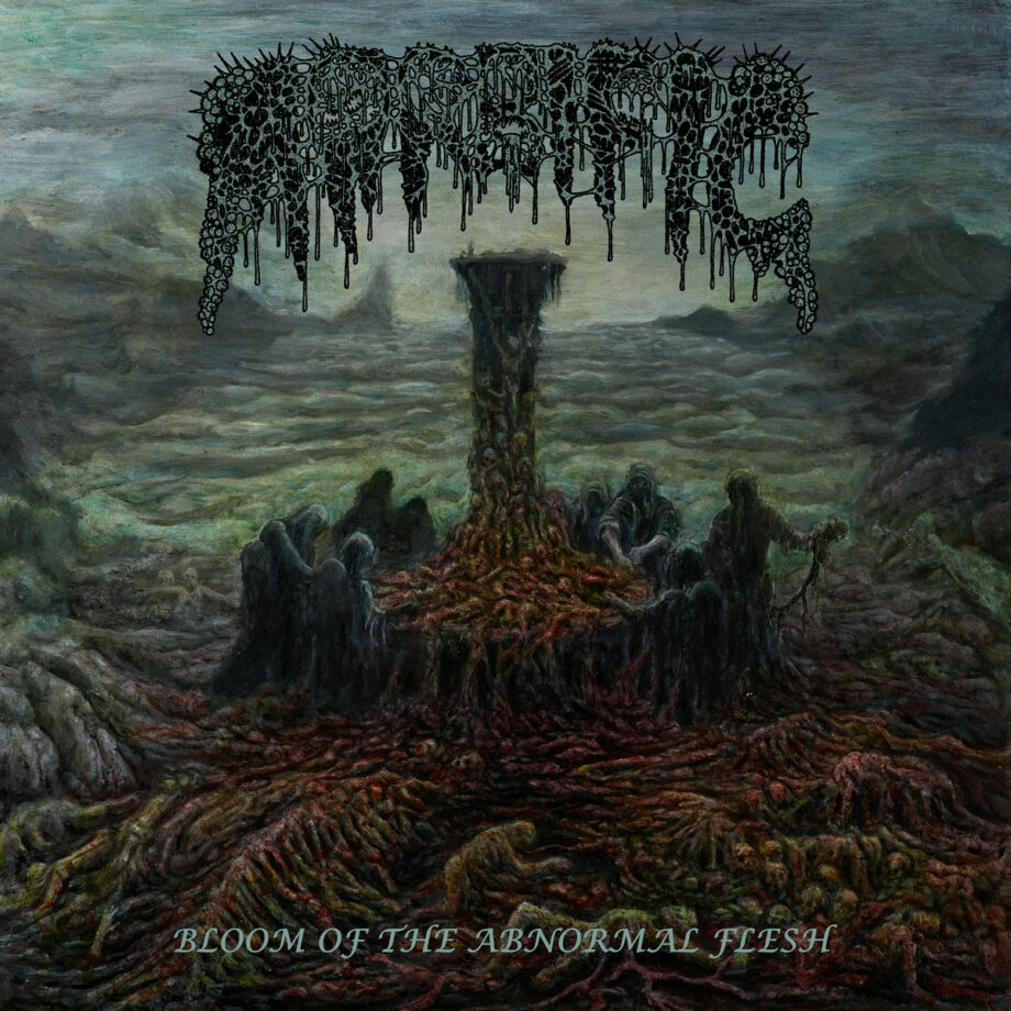 Morbific – Bloom Of The Abnormal Flesh – 12″ Morbific - Bloom Of The Abnormal Flesh - 12" - Image 2