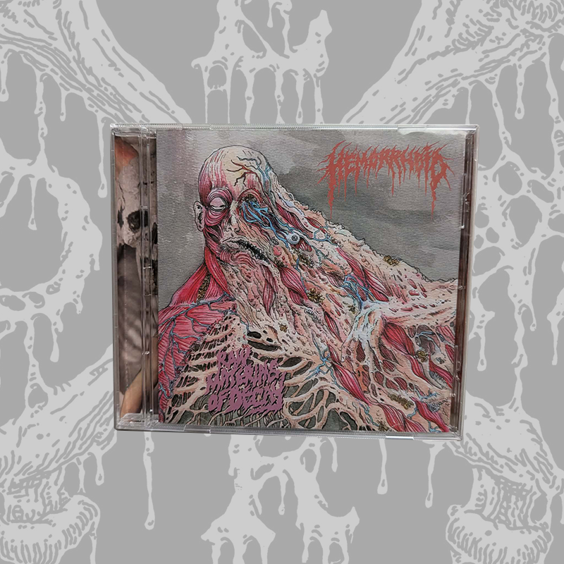 Hemorrhoid – Raw Materials of Decay CD Hemorrhoid - Raw Materials of Decay CD