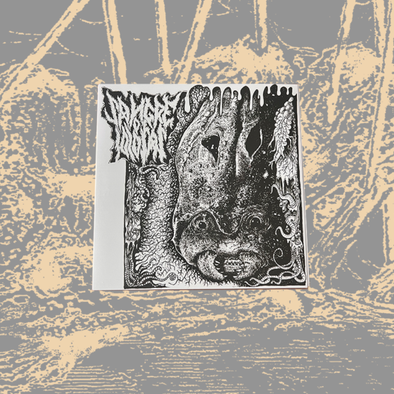 Sangre de Idiotas/Mindblower split 7''