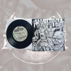 Anatomia/Living Decay split 7''
