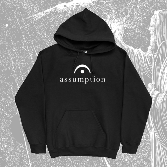 Assumption - Beholder hoodie