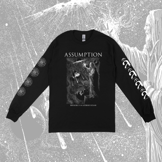 Assumption - Beholder longsleeve