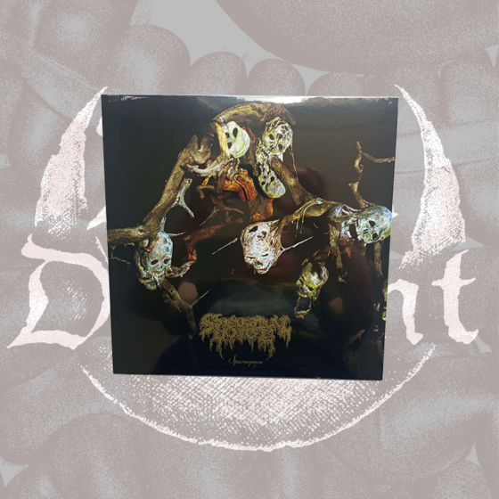 Spectral Voice - Sparagmos 12'' LP